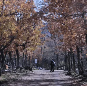 Bosque Finlandés, Rascafría