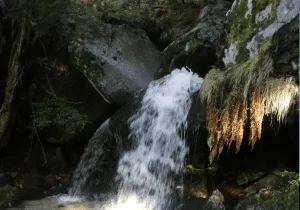 Chorrera de San Mamés