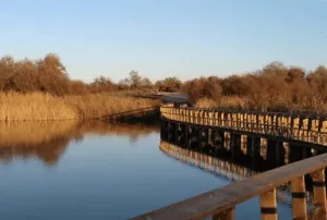 Daimiel, a 2hrs de Madrid