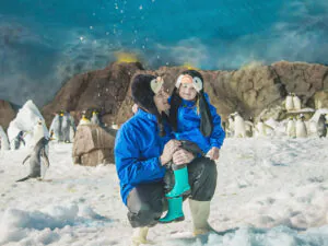 Faunia: el zoo para explorar la fauna del mundo en familia​