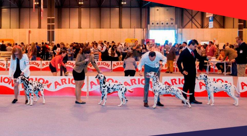 World Dog Show Planes en Madrid