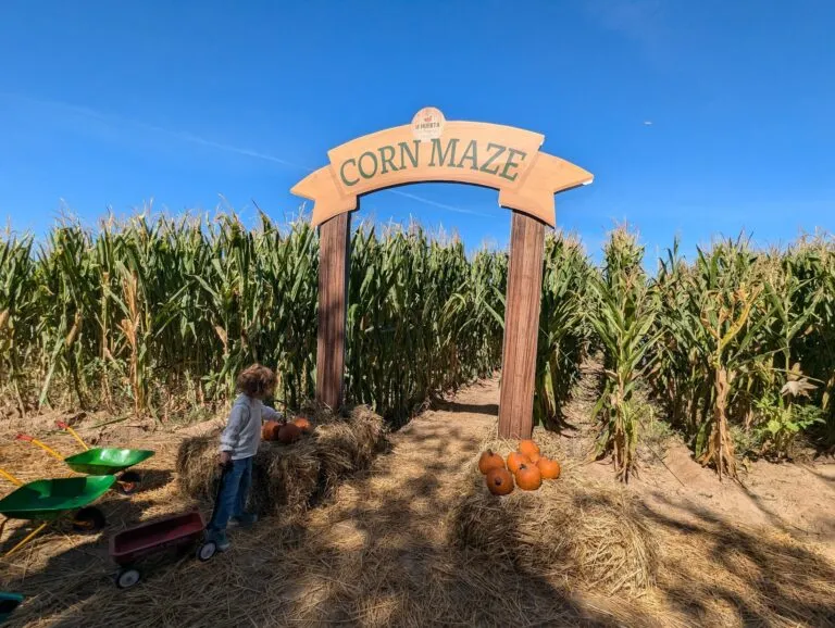 Pumkin Patch Madrid