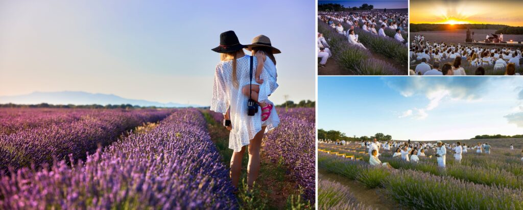 Festival Lavanda Brihuega