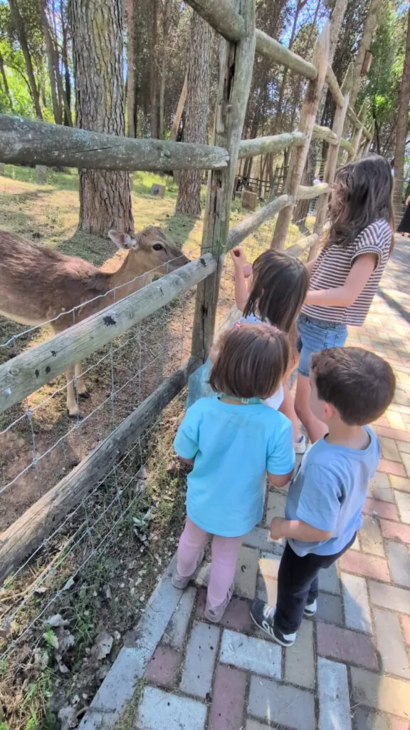 Zoo de Guadalajara