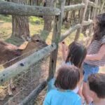 Zoo de Guadalajara