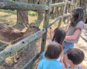 Zoo de Guadalajara