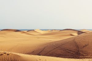 Dunas MasPalomas