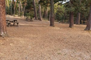 Mesas área recreativa Boca del Asno